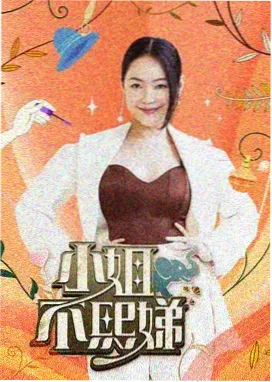 铁与霜 小说封面